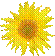 http://de.spiritualwiki.org/wiki/uploads/Wiki/commons_Tournesol.png